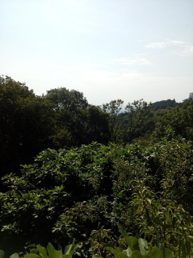 House In The Forest Sighnaghi Bagian luar foto